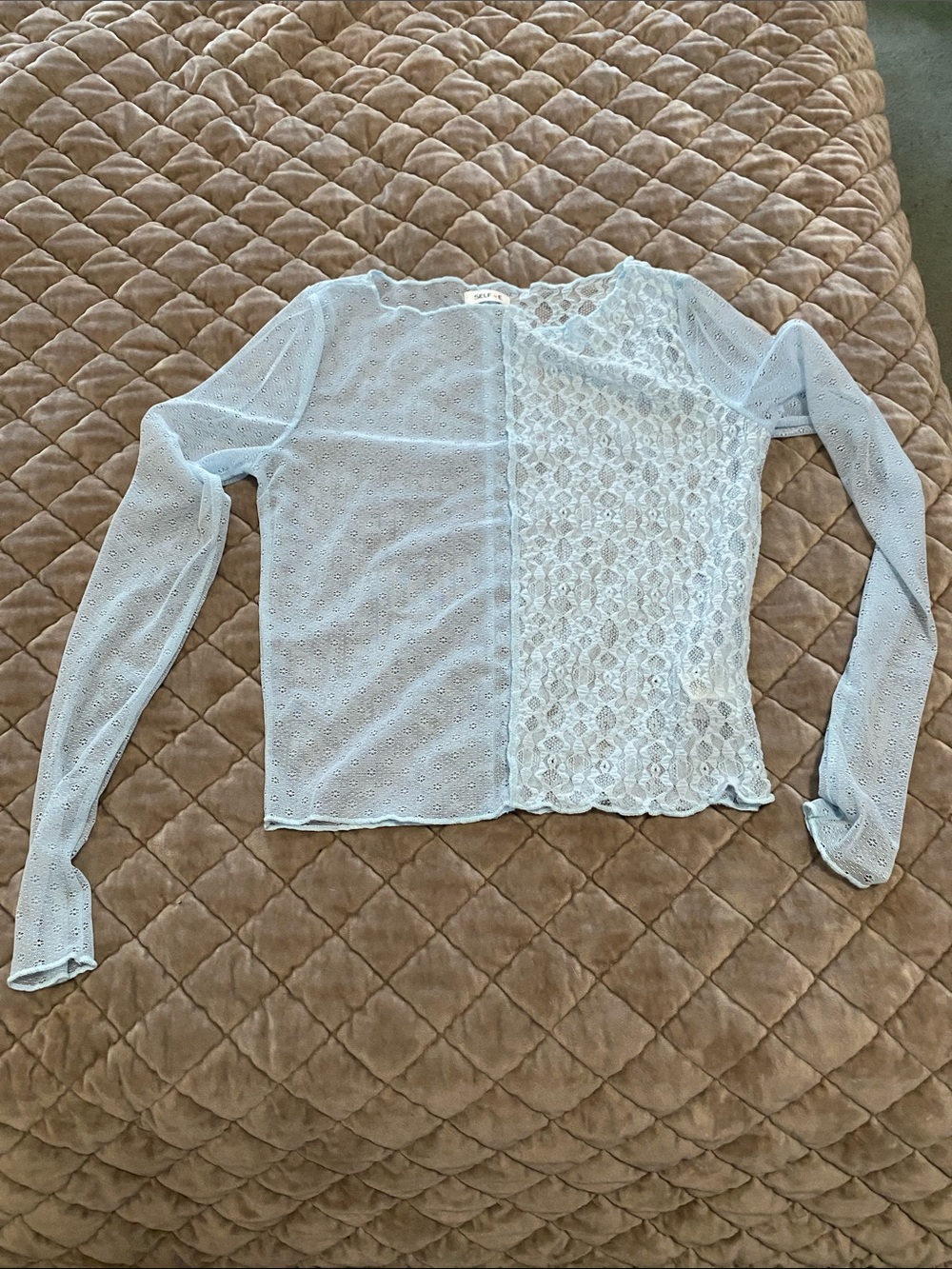 Semi-Sheer Lace Panel Long-Sleeve Blouse in Light Blue